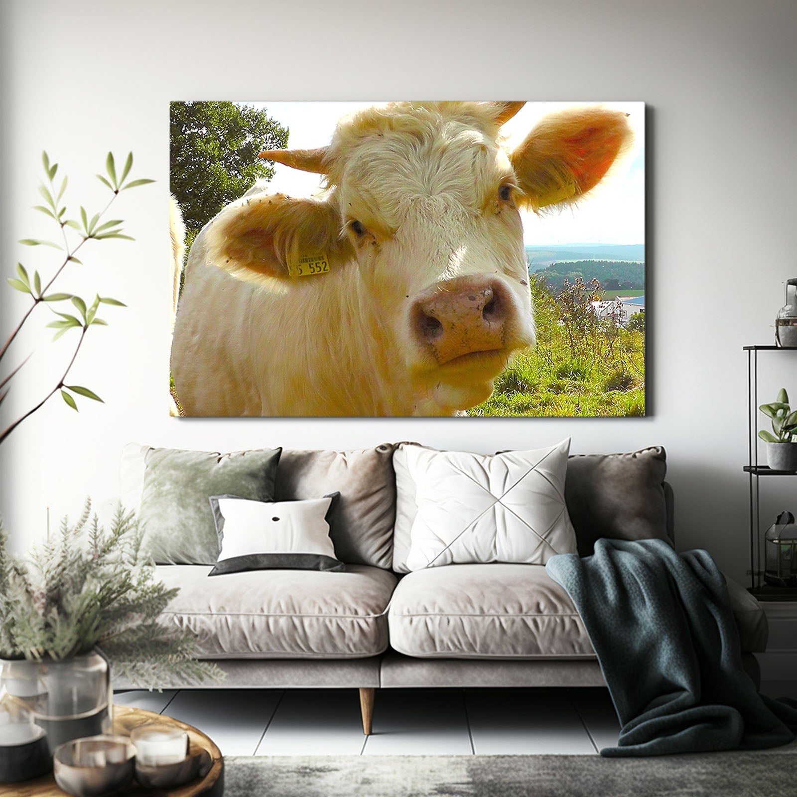 Face Cow Canvas Art – angled canvas view on white background