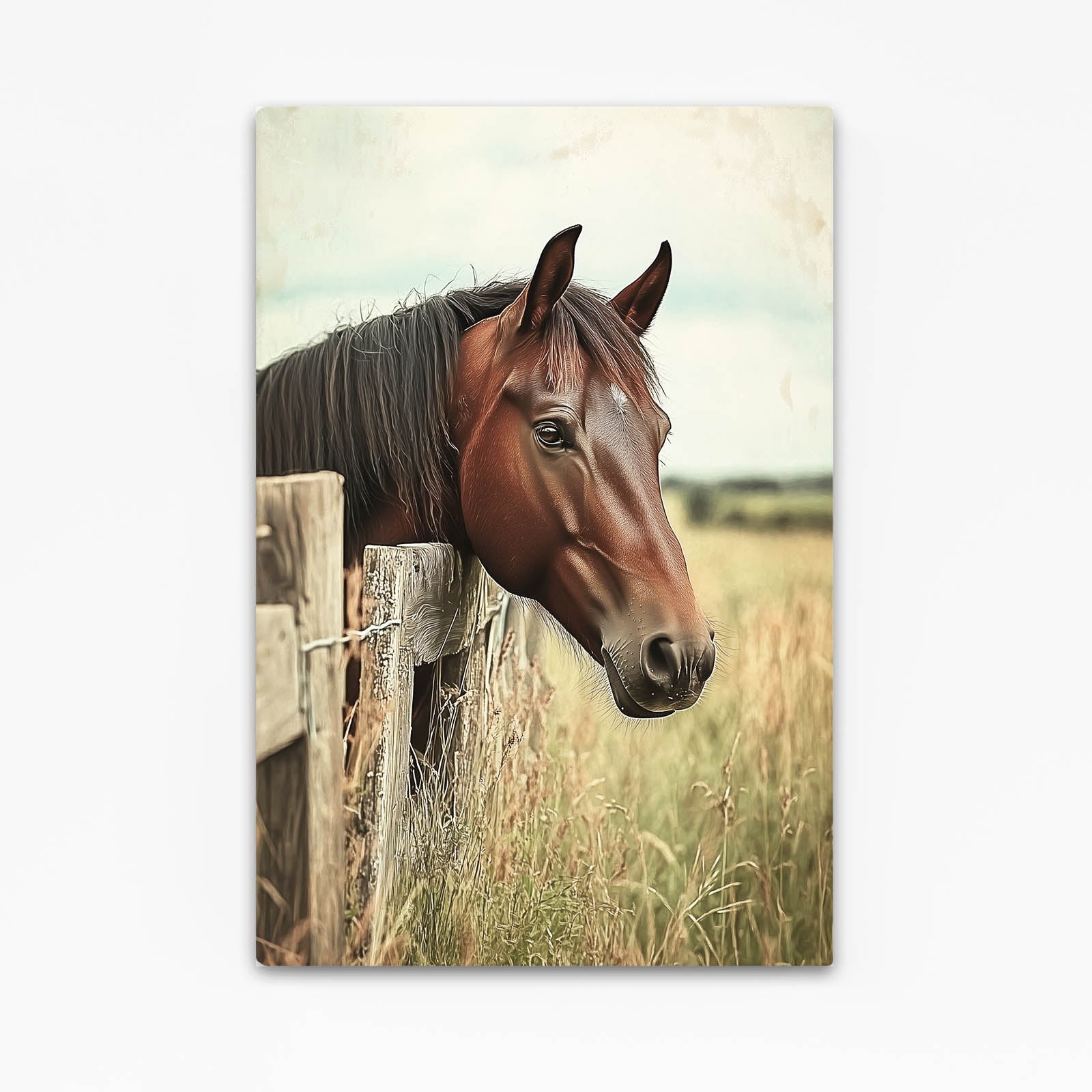 Fence Post Bay Horse Prints — photography canvas print, canvas print on white background