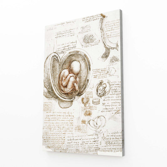 Fetus In The Womb Da Vinci Canvas — line canvas print, angled canvas view on white background