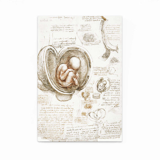 Fetus In The Womb Da Vinci Canvas — line canvas print, angled canvas view on white background