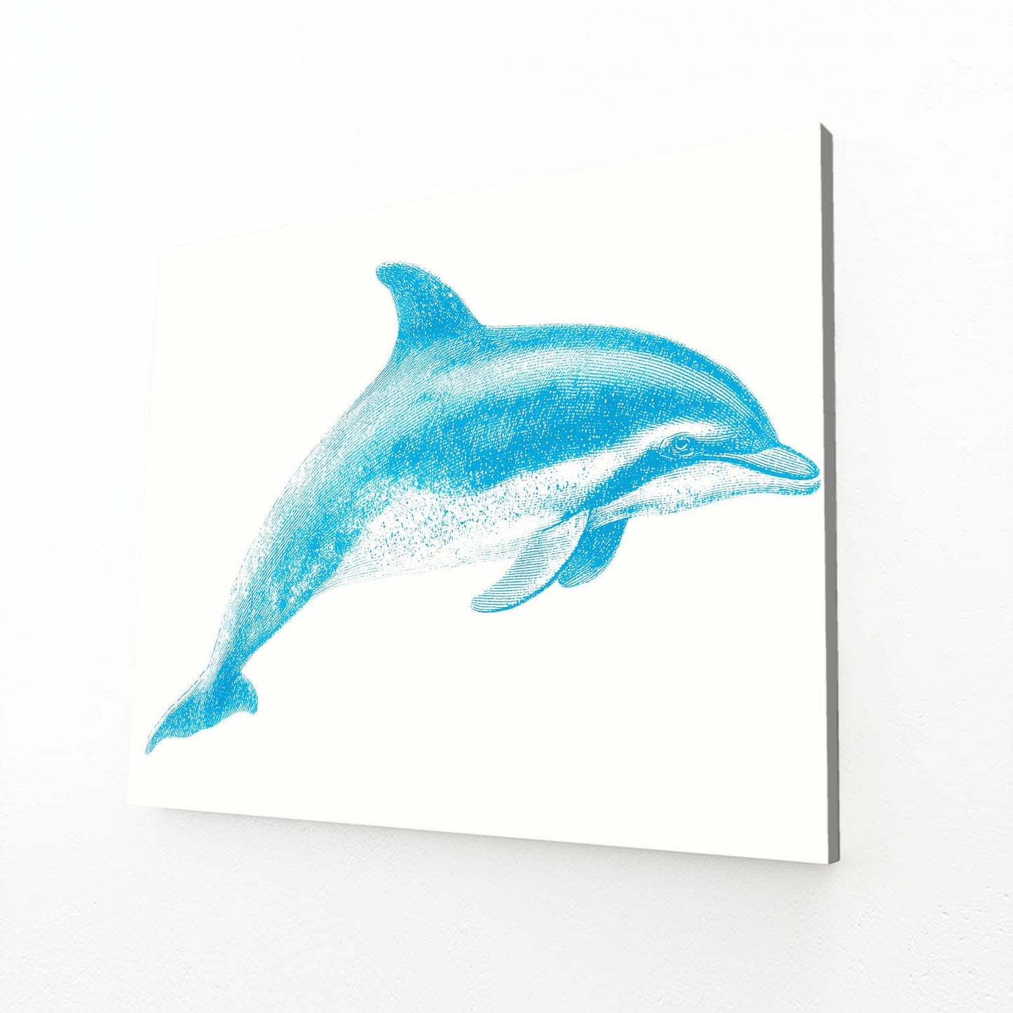 Field Guide Dolphin Print – angled canvas view on white background