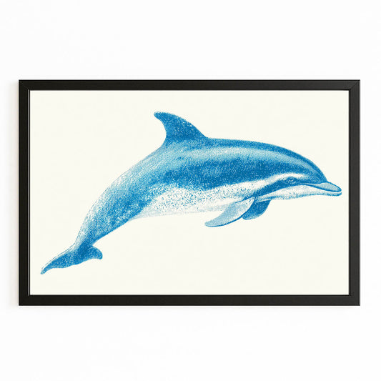 Field Guide Dolphin Print – with Premium Black wood frame on white background