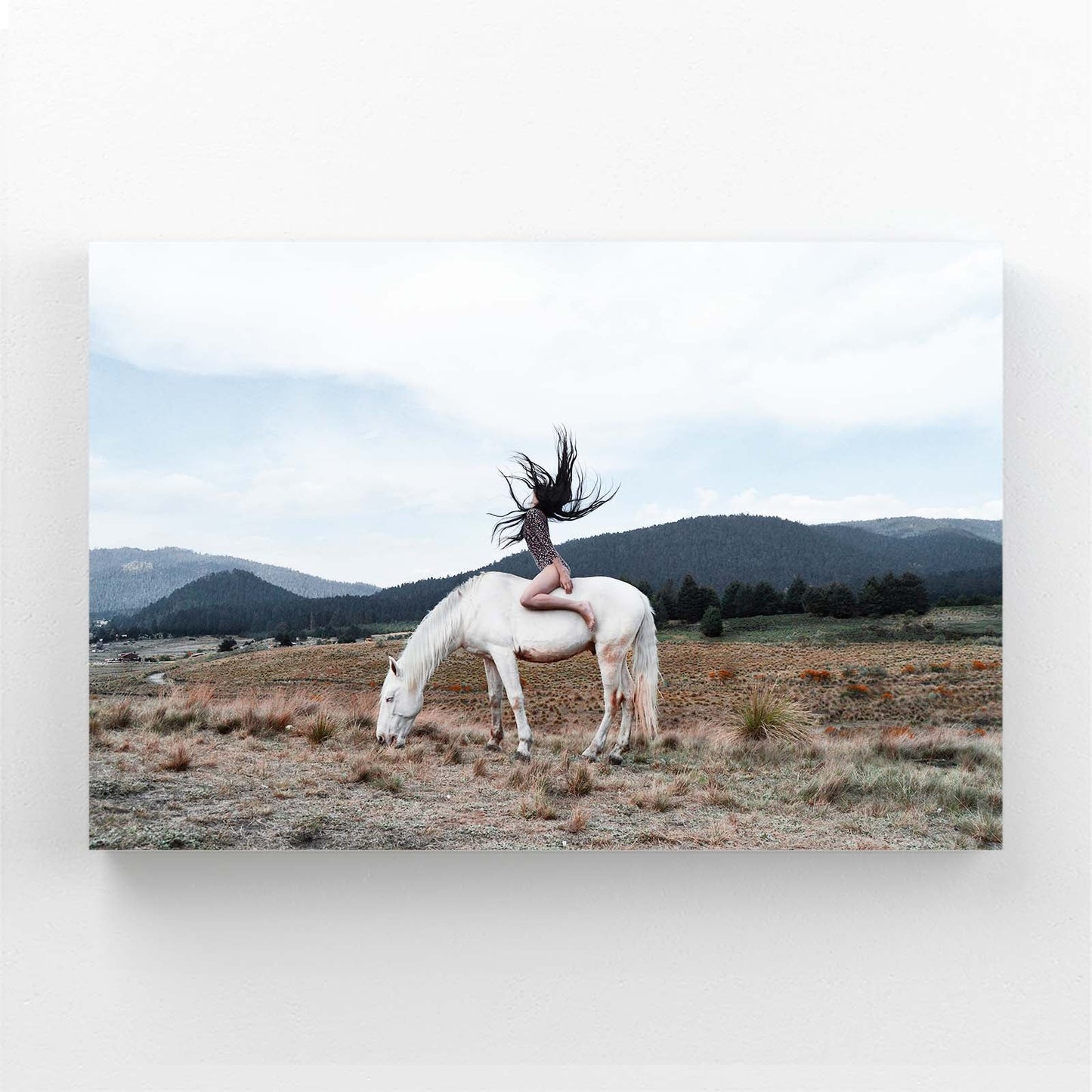 Field Horse Artwork – angled canvas view on white background