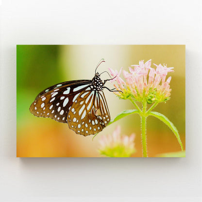 Flower And Butterfly Wall Art