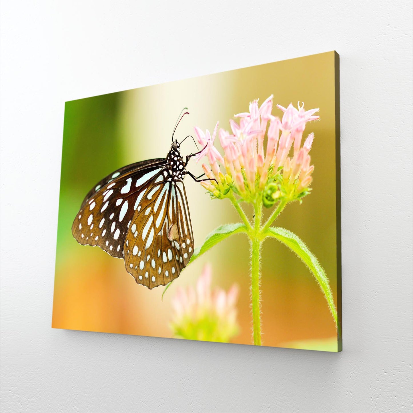 Flower And Butterfly Wall Art