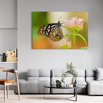 Flower And Butterfly Wall Art