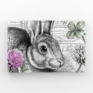 Framed Rabbit Canvas Art