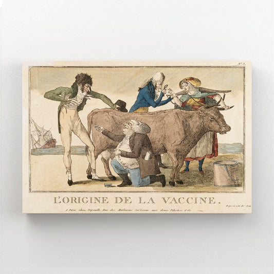French Cow Wall Art – angled canvas view on white background