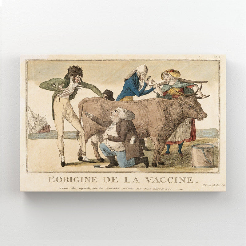 French Cow Wall Art – angled canvas view on white background