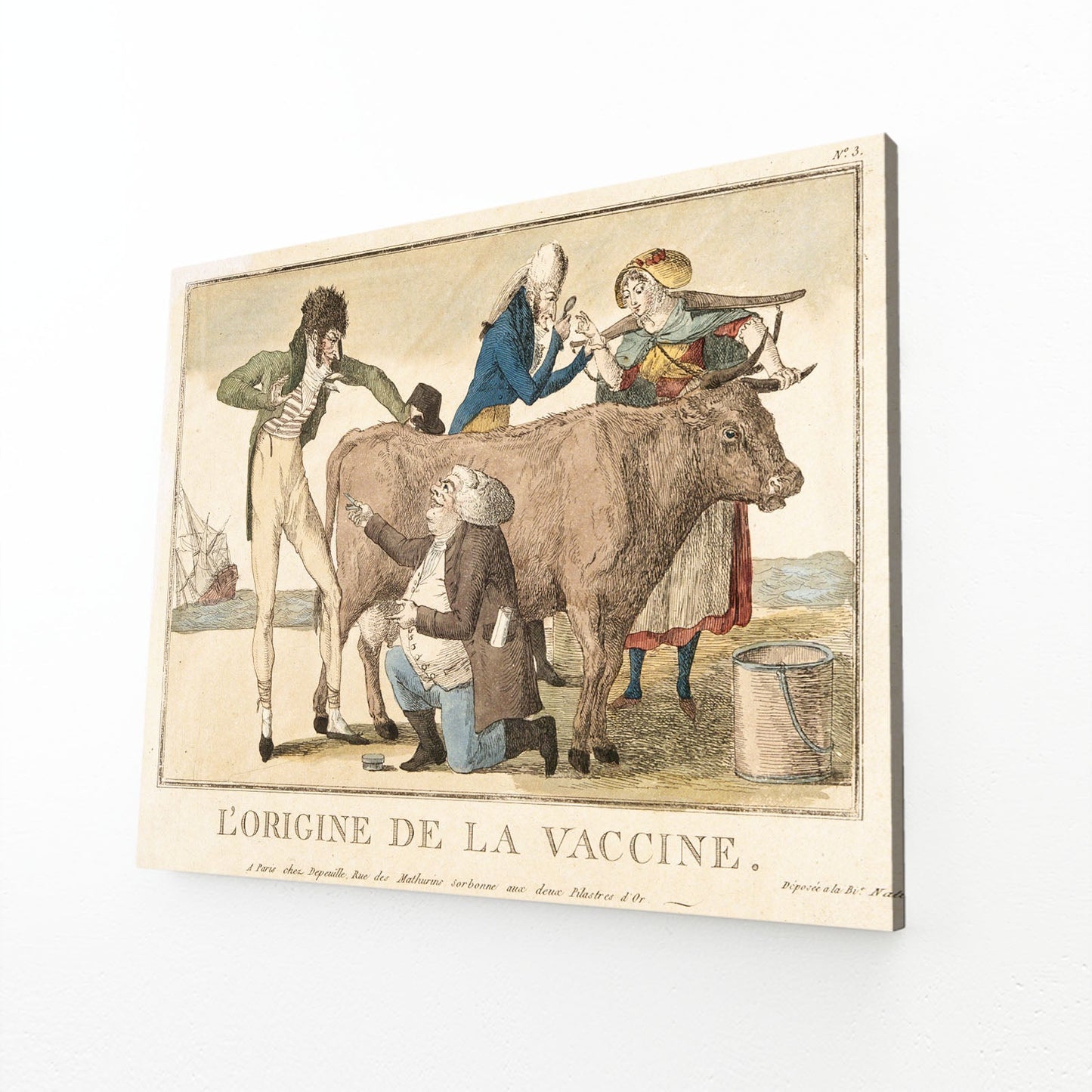 French Cow Wall Art – angled canvas view on white background