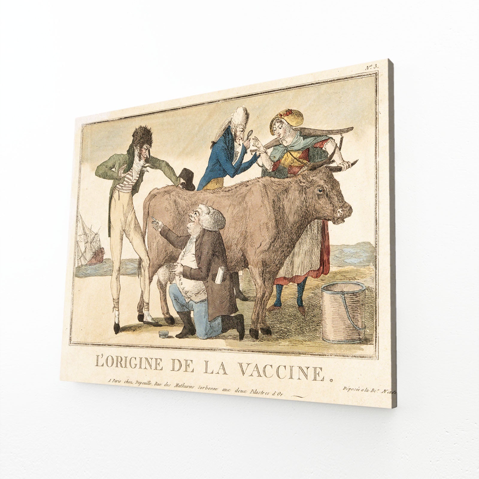 French Cow Wall Art – angled canvas view on white background
