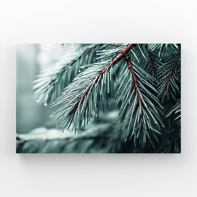 Frosted Pine Tree Photography Wall Decor – frost-covered pine branch in deep teal shadow, macro