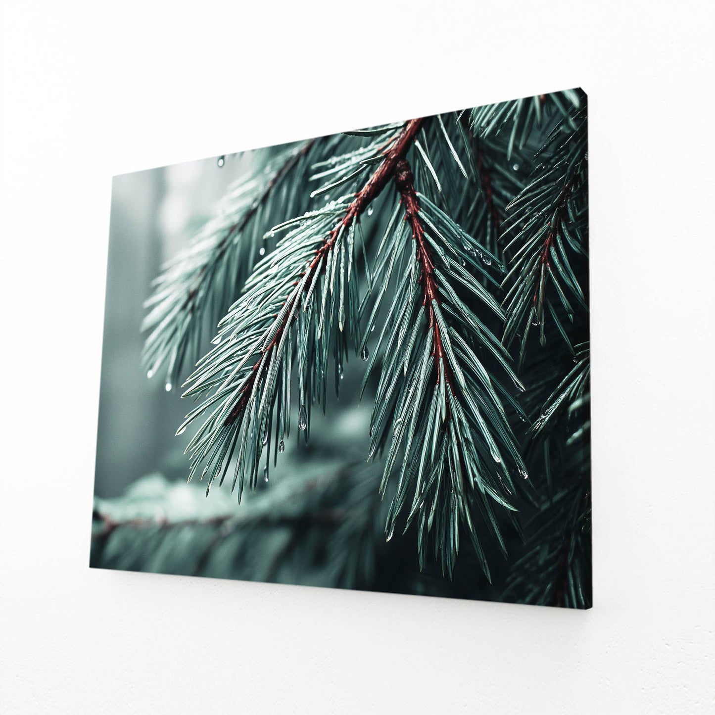 Frosted Pine Tree Photography Wall Decor – angled canvas view on white background