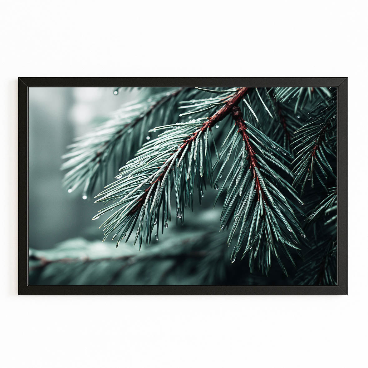 Frosted Pine Tree Photography Wall Decor — photography canvas print, with Premium Black frame on white background