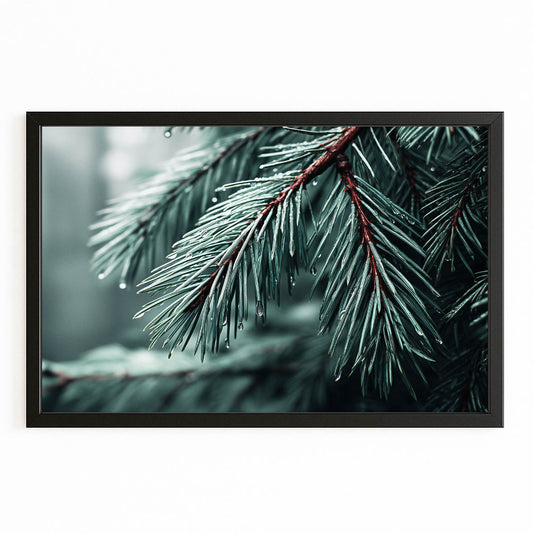Frosted Pine Tree Photography Wall Decor – canvas print on white background