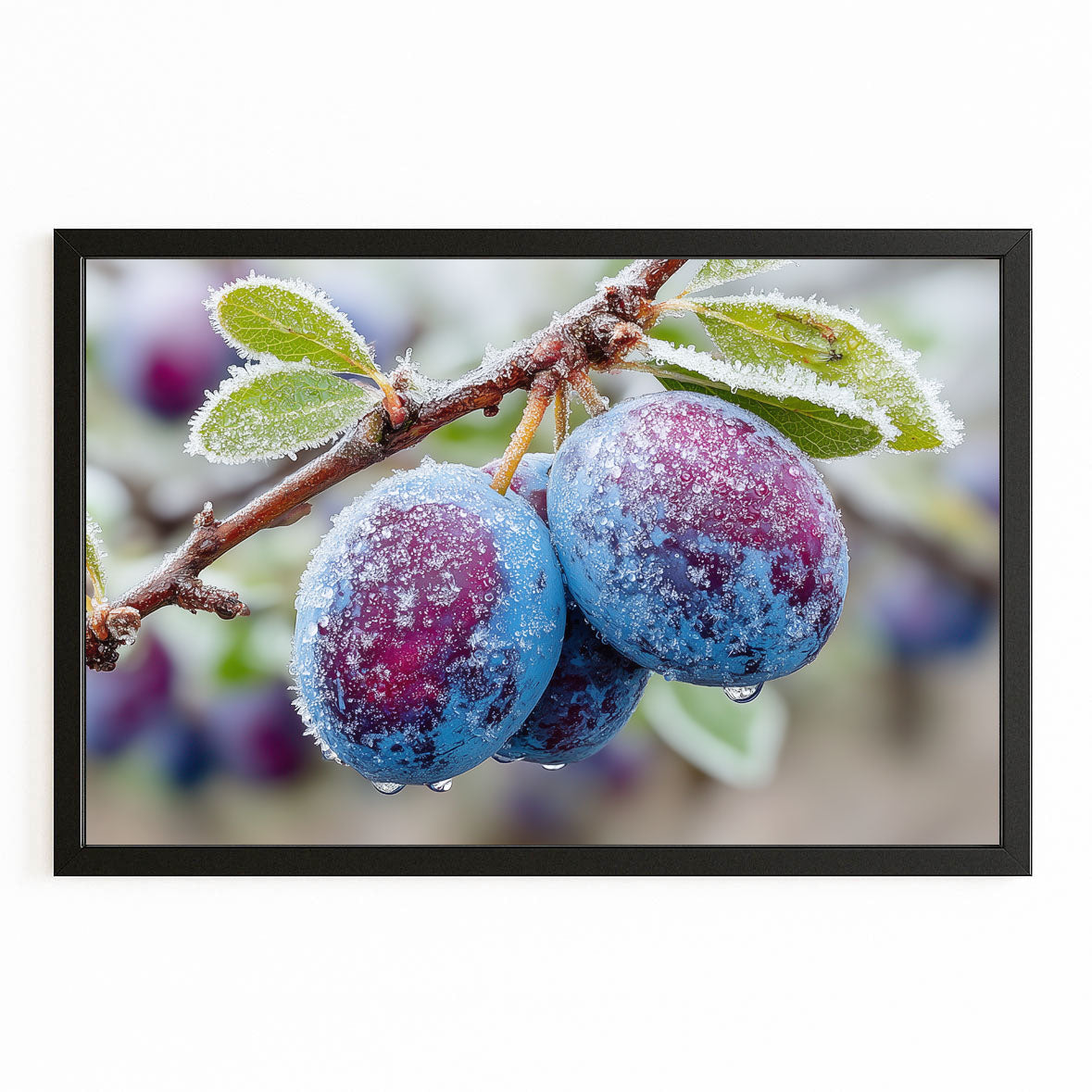 Frosted Plum Branch Fruit Art – with Premium Black frame on white background