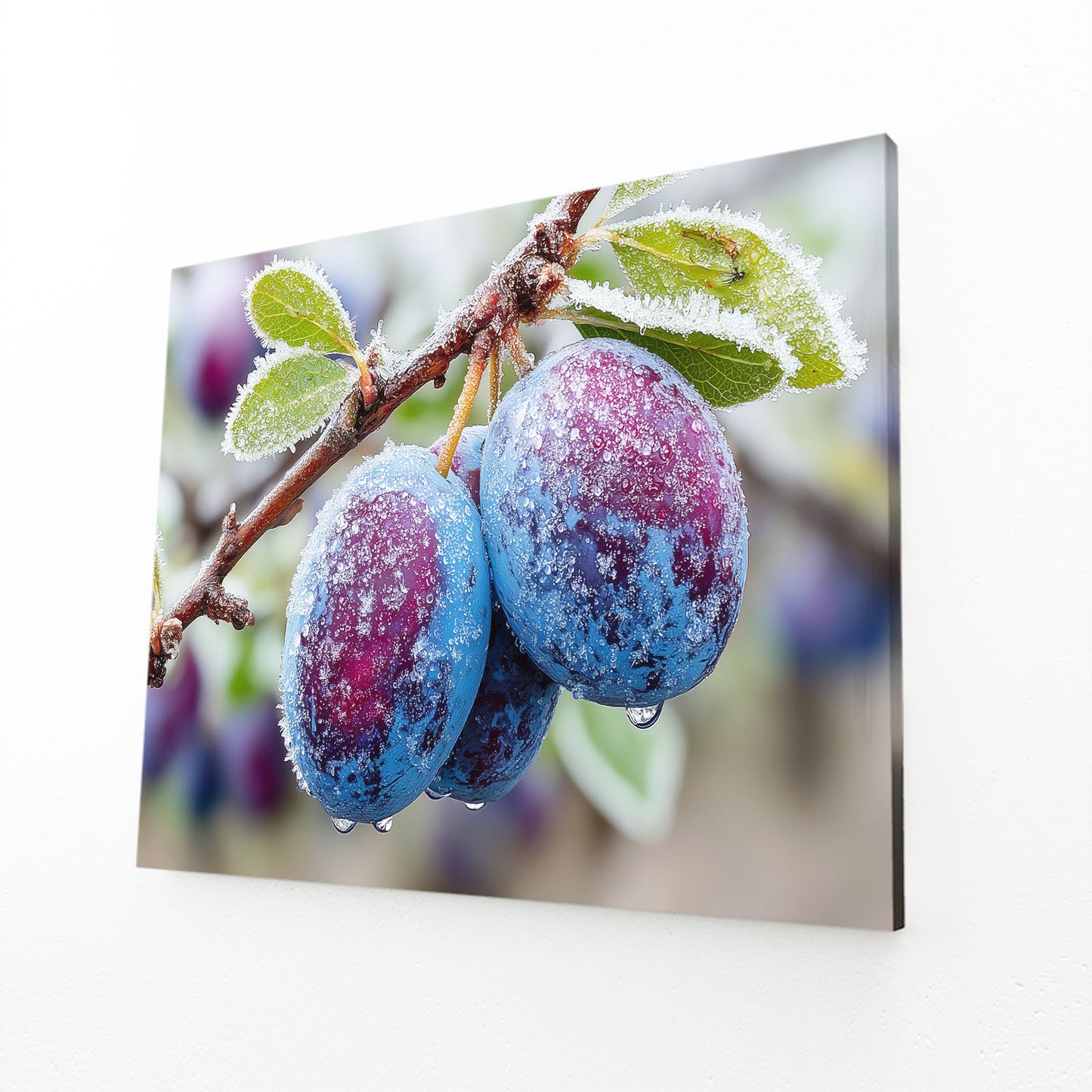 Frosted Plum Branch Fruit Art – angled canvas view on white background