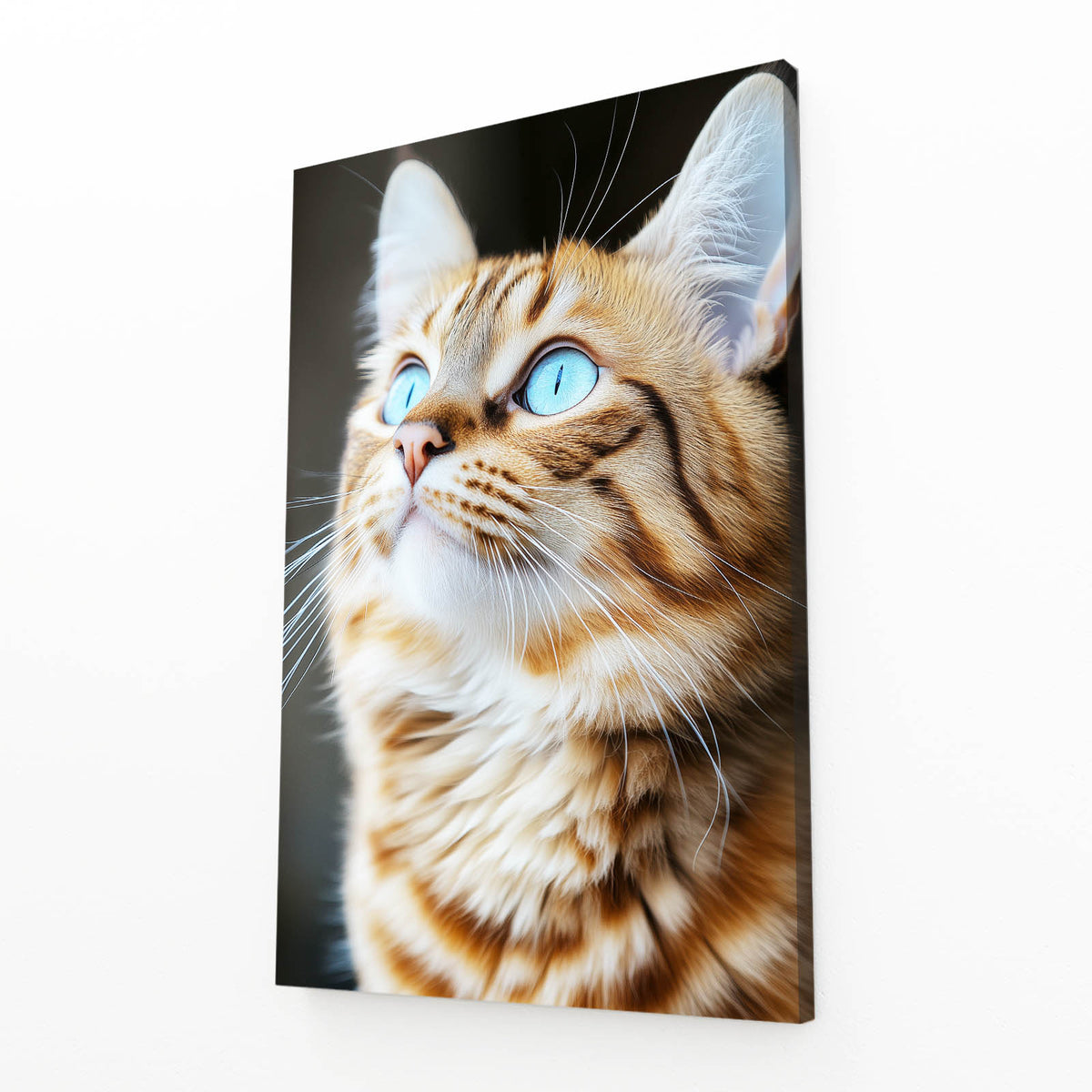 Ginger Upward Gaze Cat Canvas — photography canvas print, angled canvas view on white background