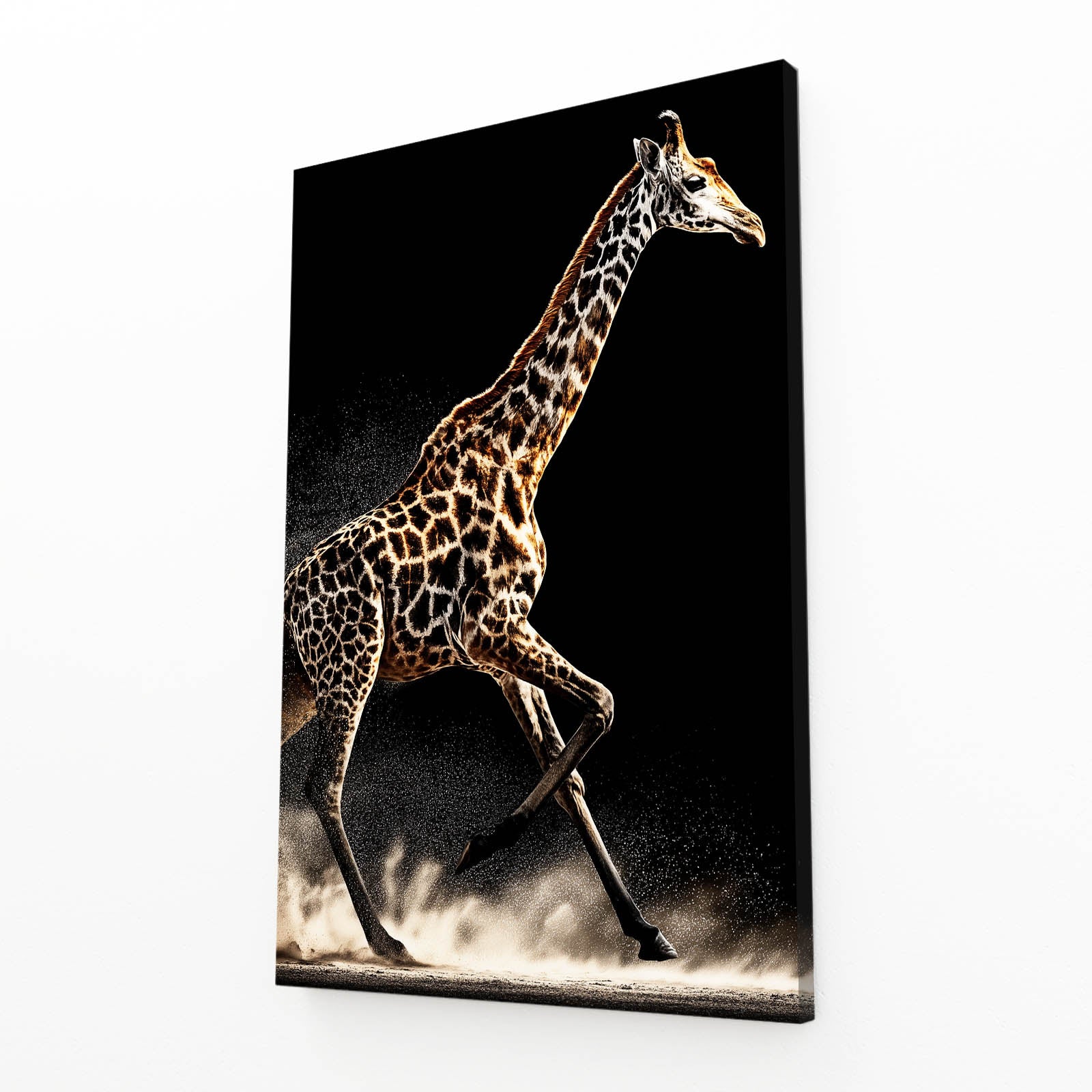 Canvas print of a giraffe walking on a black background