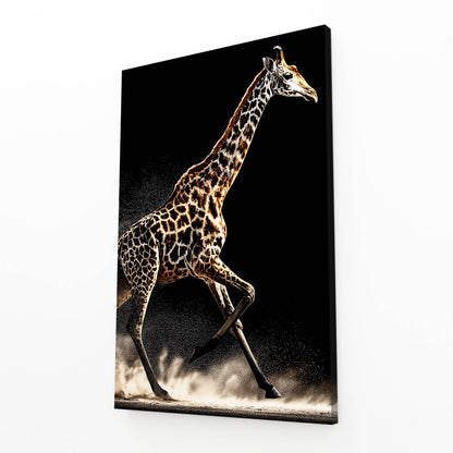Canvas print of a giraffe walking on a black background