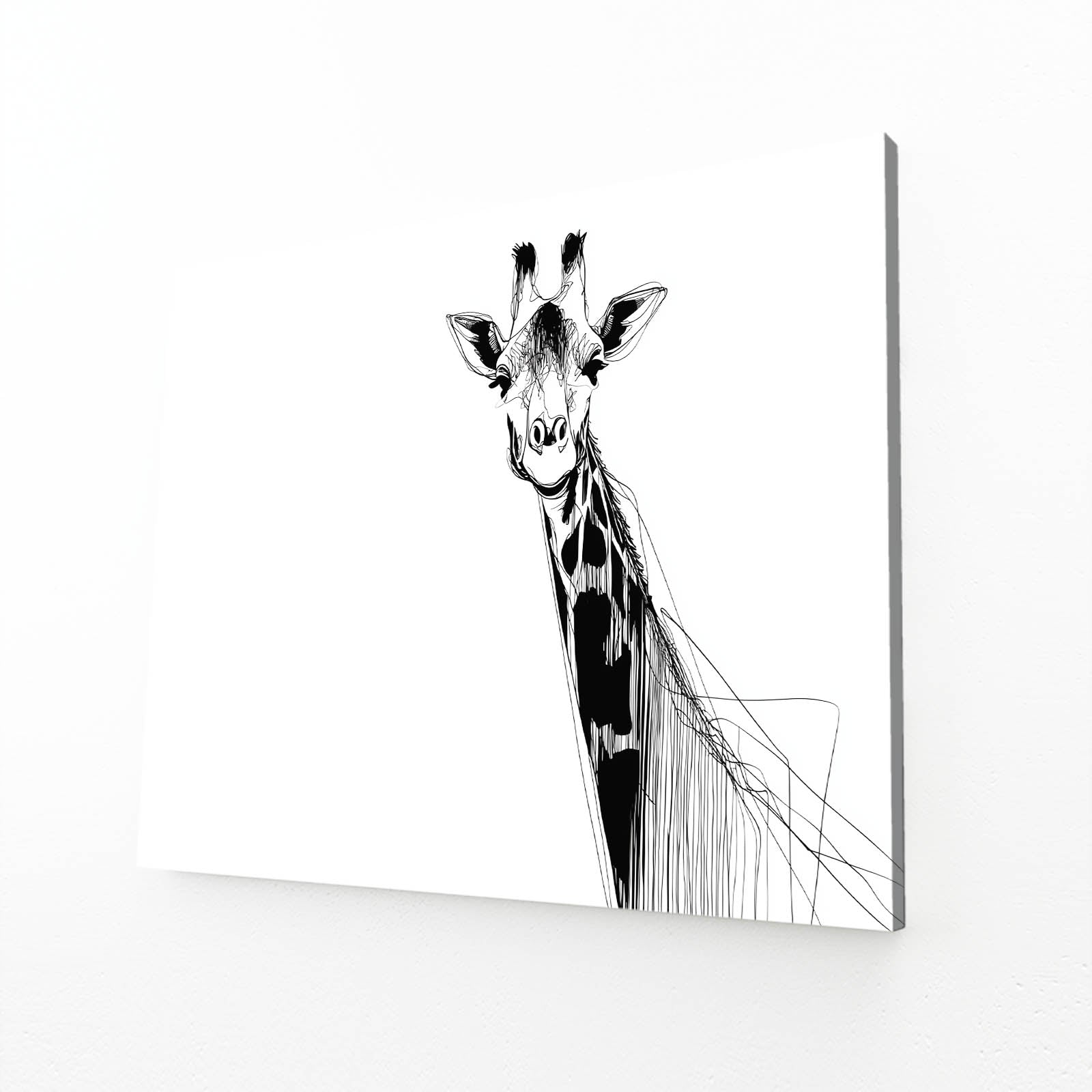 Black and white illustration of a giraffe on a white background