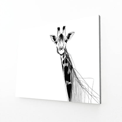 Black and white illustration of a giraffe on a white background