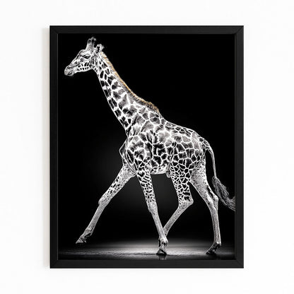 Framed artwork of a giraffe with a black background