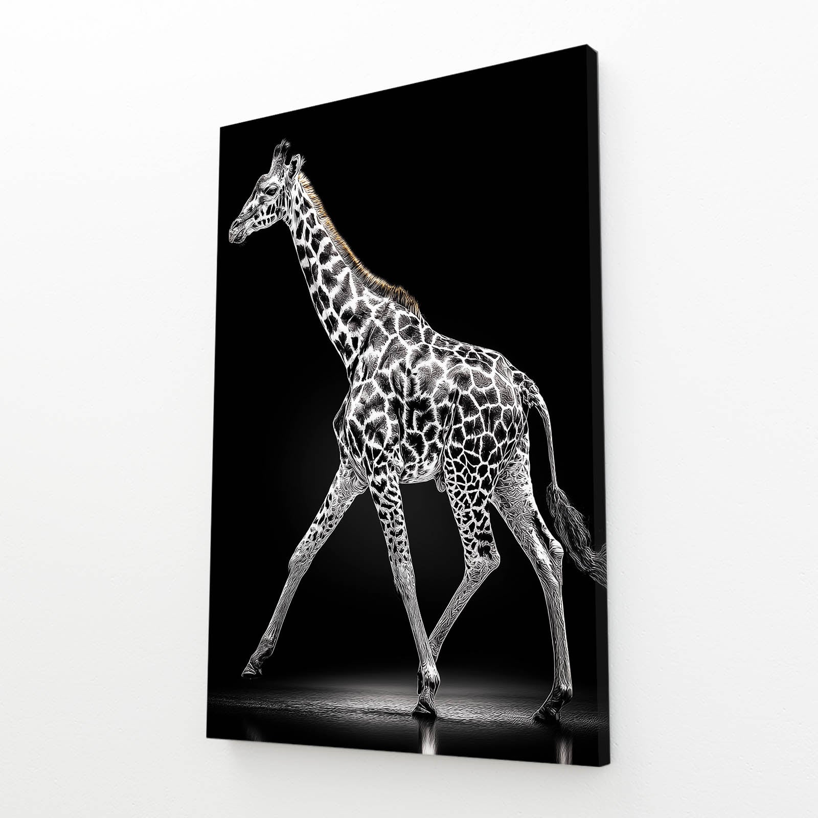 Canvas print of a giraffe with a black background