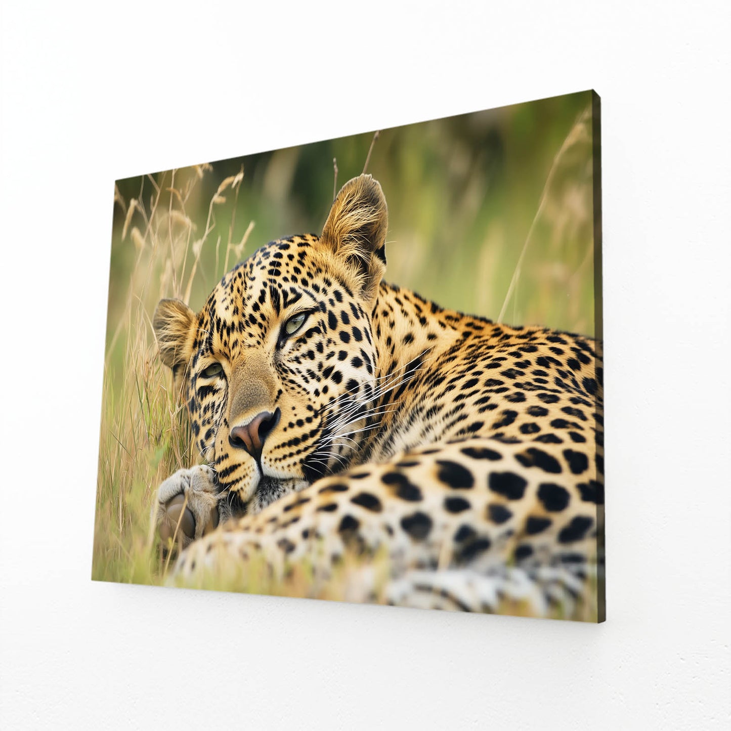 Golden Grass Rest Leopard Art – angled canvas view on white background