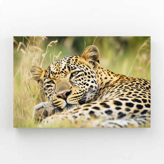 Golden Grass Rest Leopard Art – golden grass rest leopard canvas print