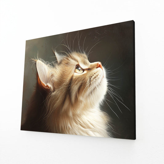 Golden Light on Fluffy Cat Art
