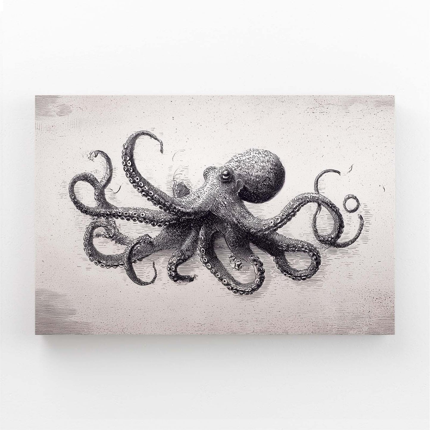 Graphite Study Octopus Wall Art – graphite study octopus canvas print