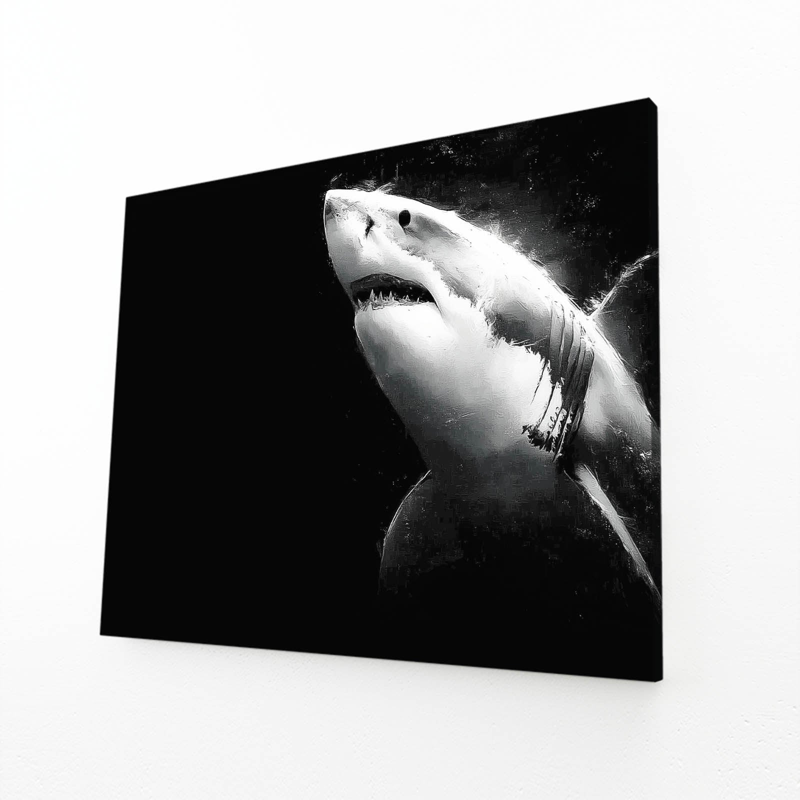 Great White on Black Shark Canvas – great white on black shark canvas print