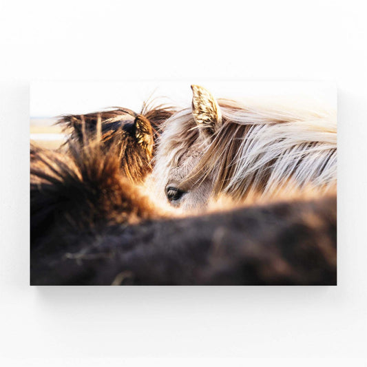 Horse Prints – angled canvas view on white background