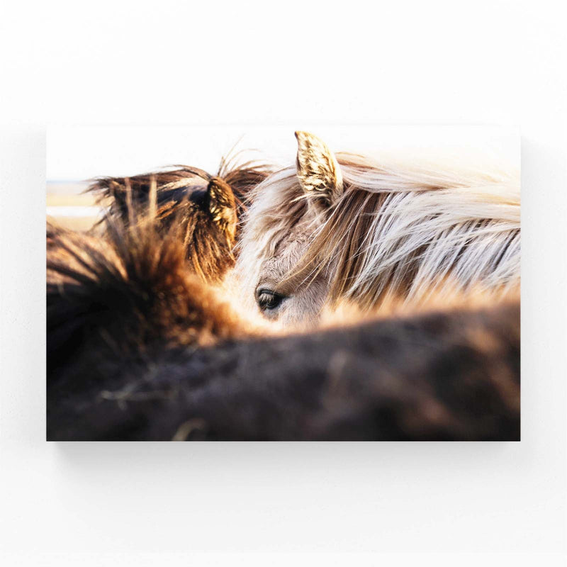 Horse Prints – angled canvas view on white background