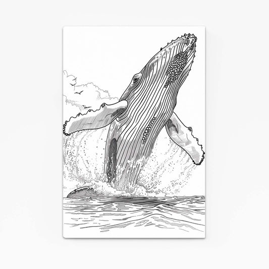 Humpback Whale Line Art