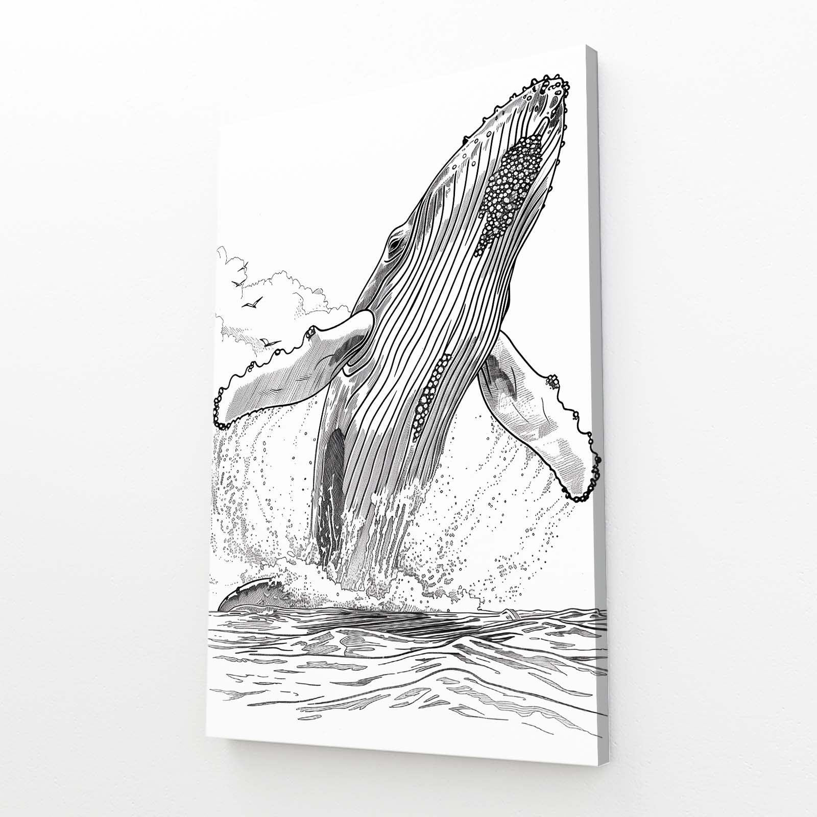 Humpback Whale Line Art