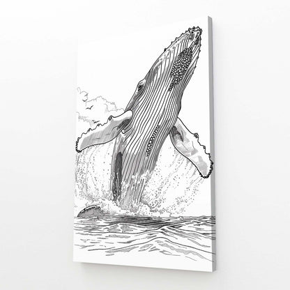 Humpback Whale Line Art
