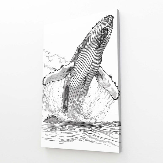 Humpback Whale Line Art