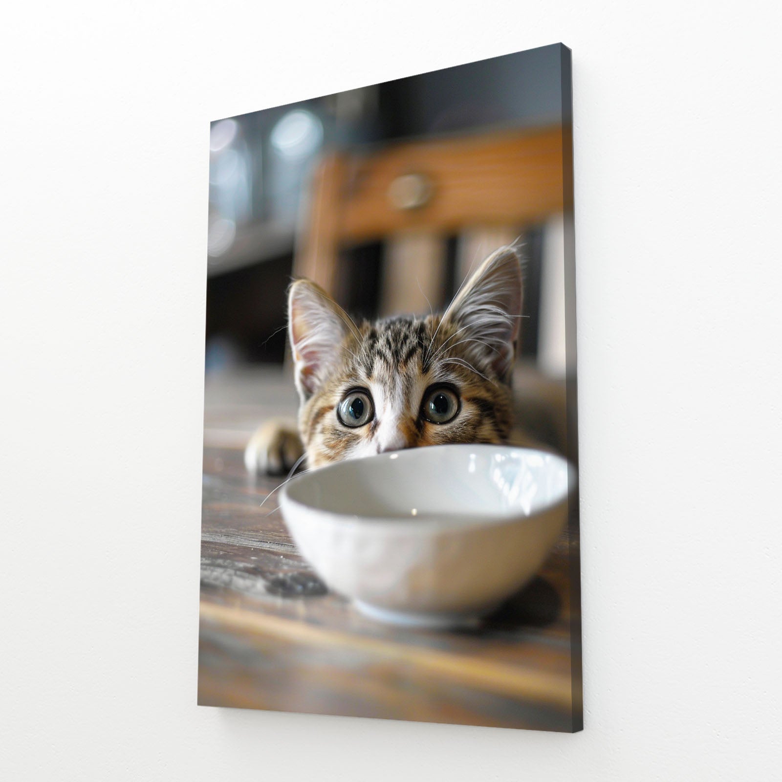 Hungry Stare Cat Wall Art
