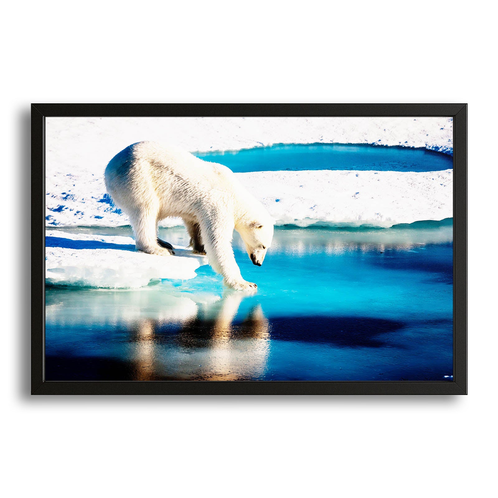 Ice Bear Art – canvas print on white background