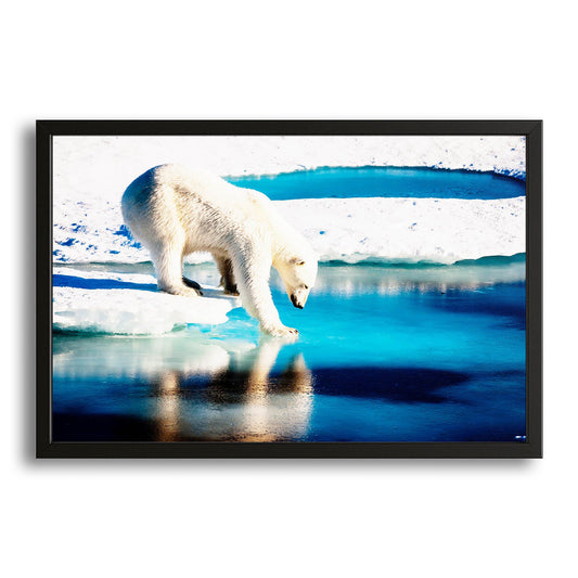 Ice Bear Art – canvas print on white background