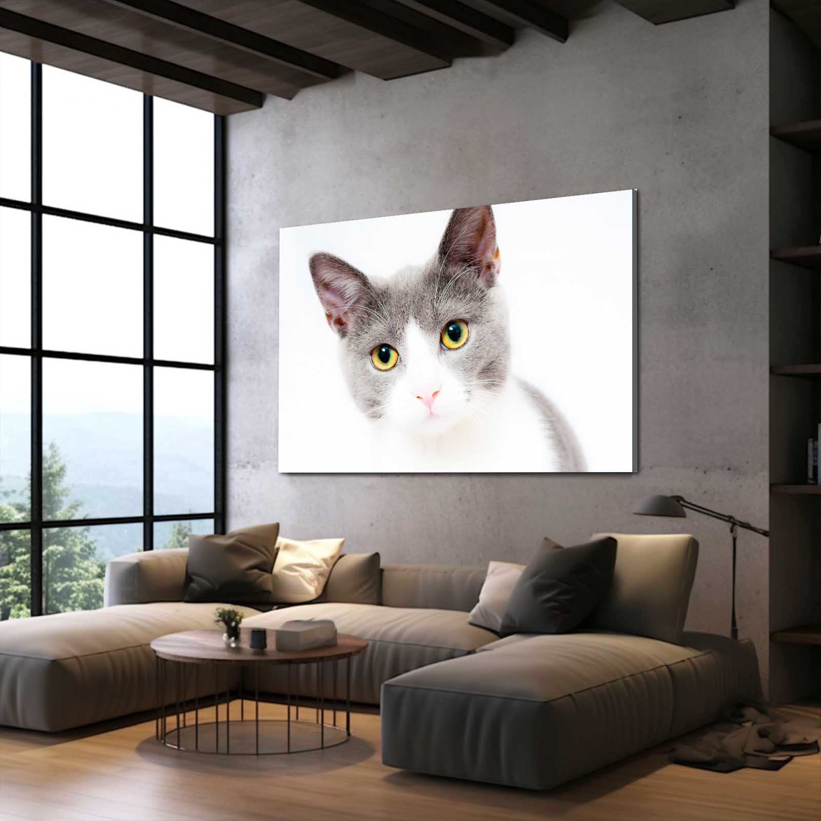 Innocent Gaze Cat Wall Art