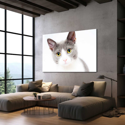 Innocent Gaze Cat Wall Art