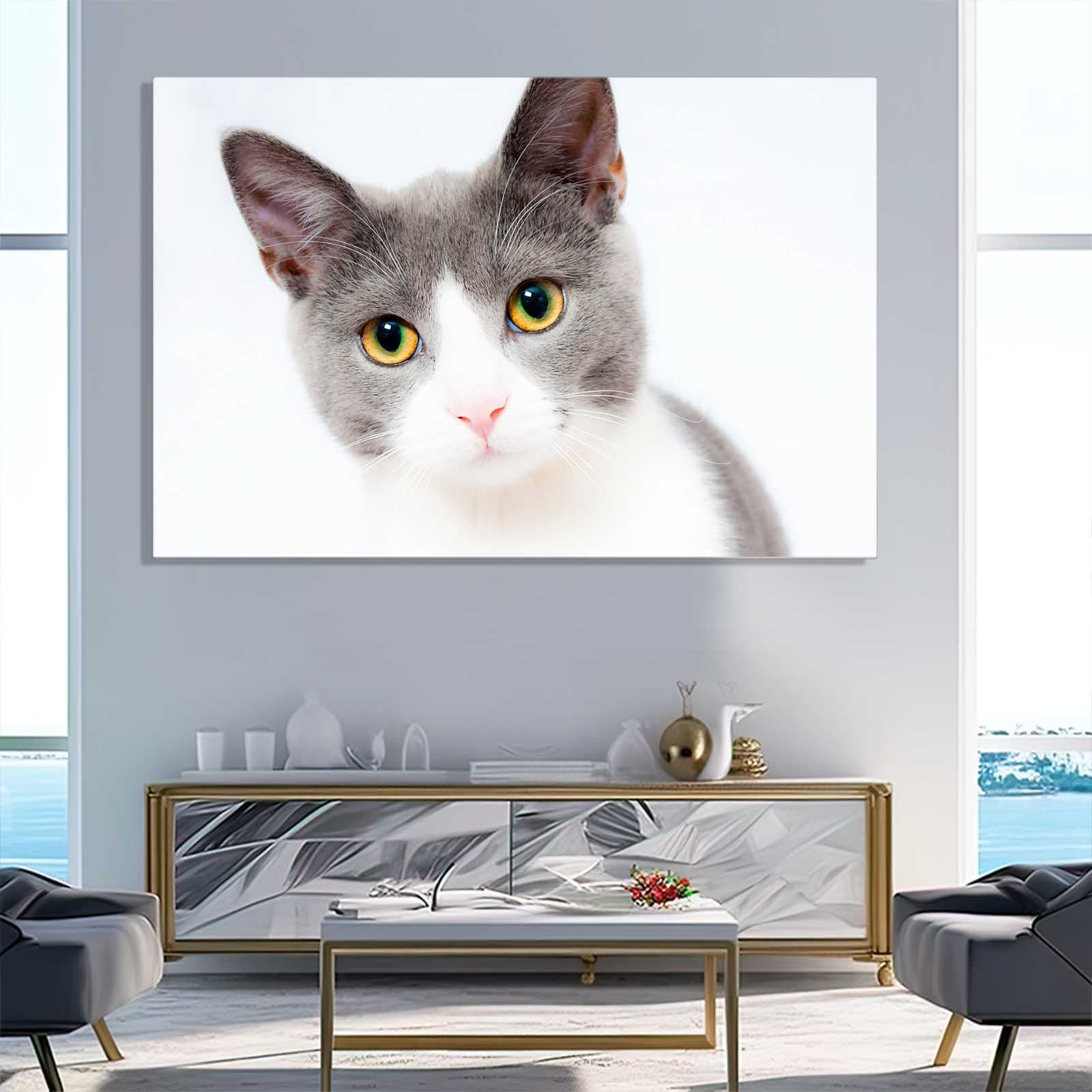 Innocent Gaze Cat Wall Art