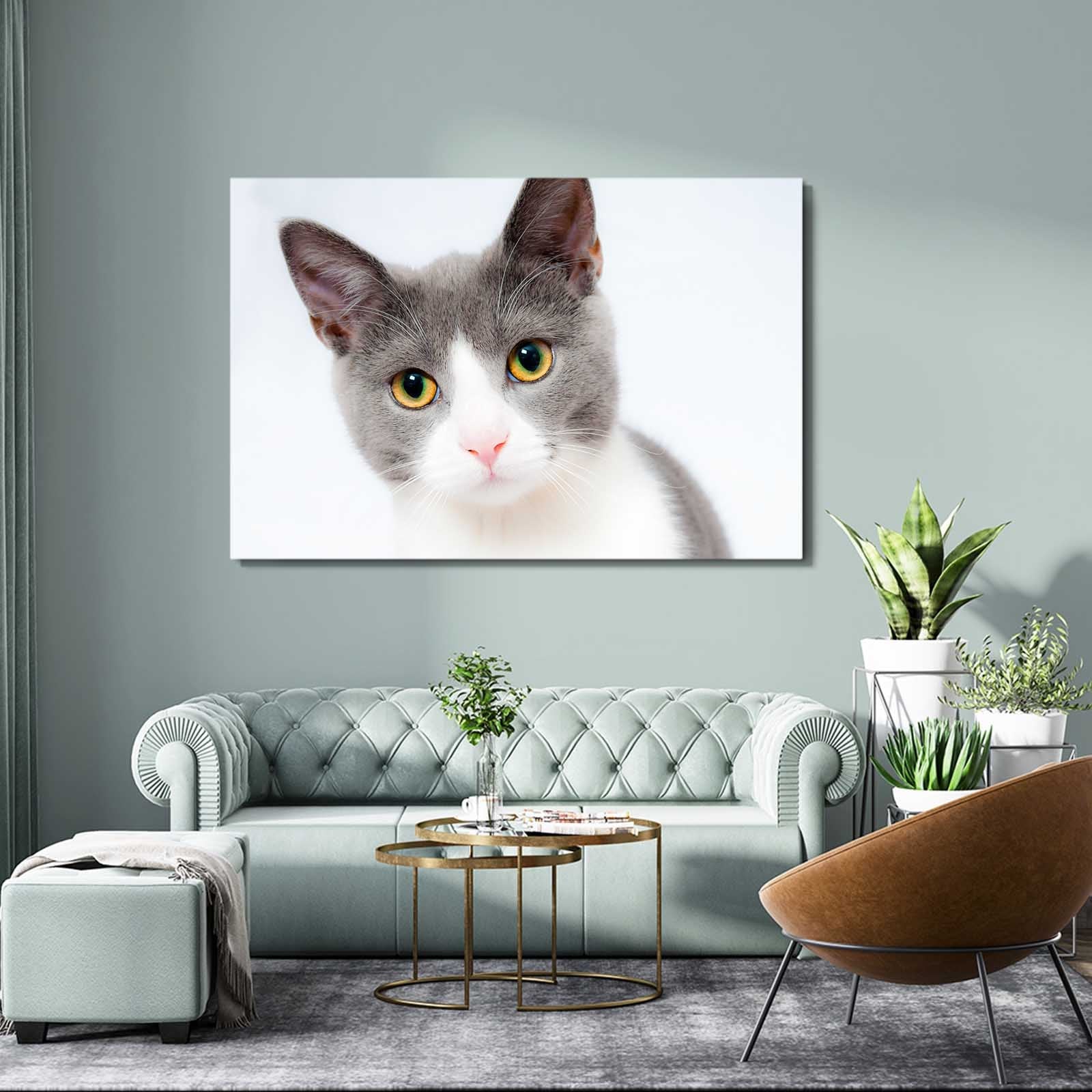 Innocent Gaze Cat Wall Art