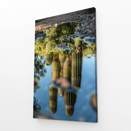 Inverted Water Reflection Cactus Canvas – angled canvas view on white background