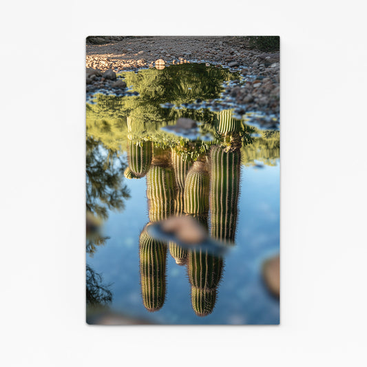Inverted Water Reflection Cactus Canvas – inverted water reflection cactus canvas print