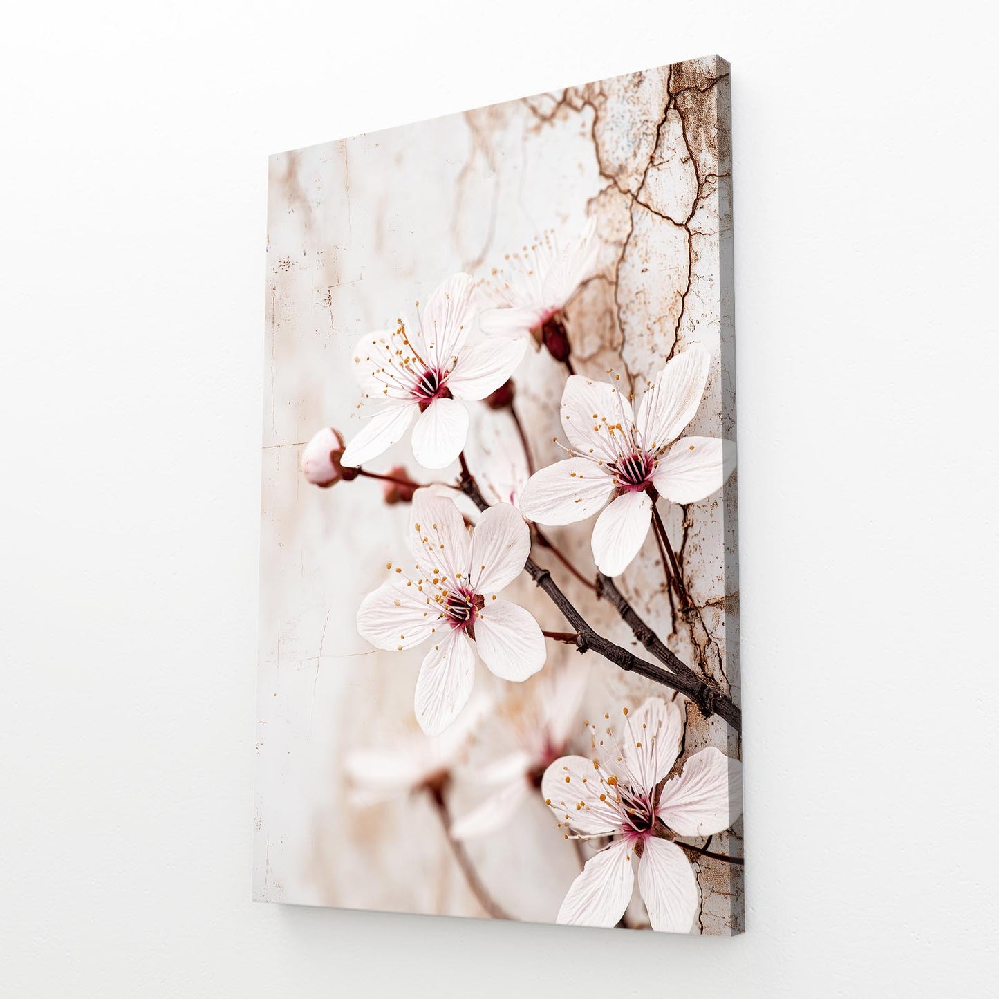 Ivory Macro Bloom Cherry Blossom Canvas – angled canvas view on white background