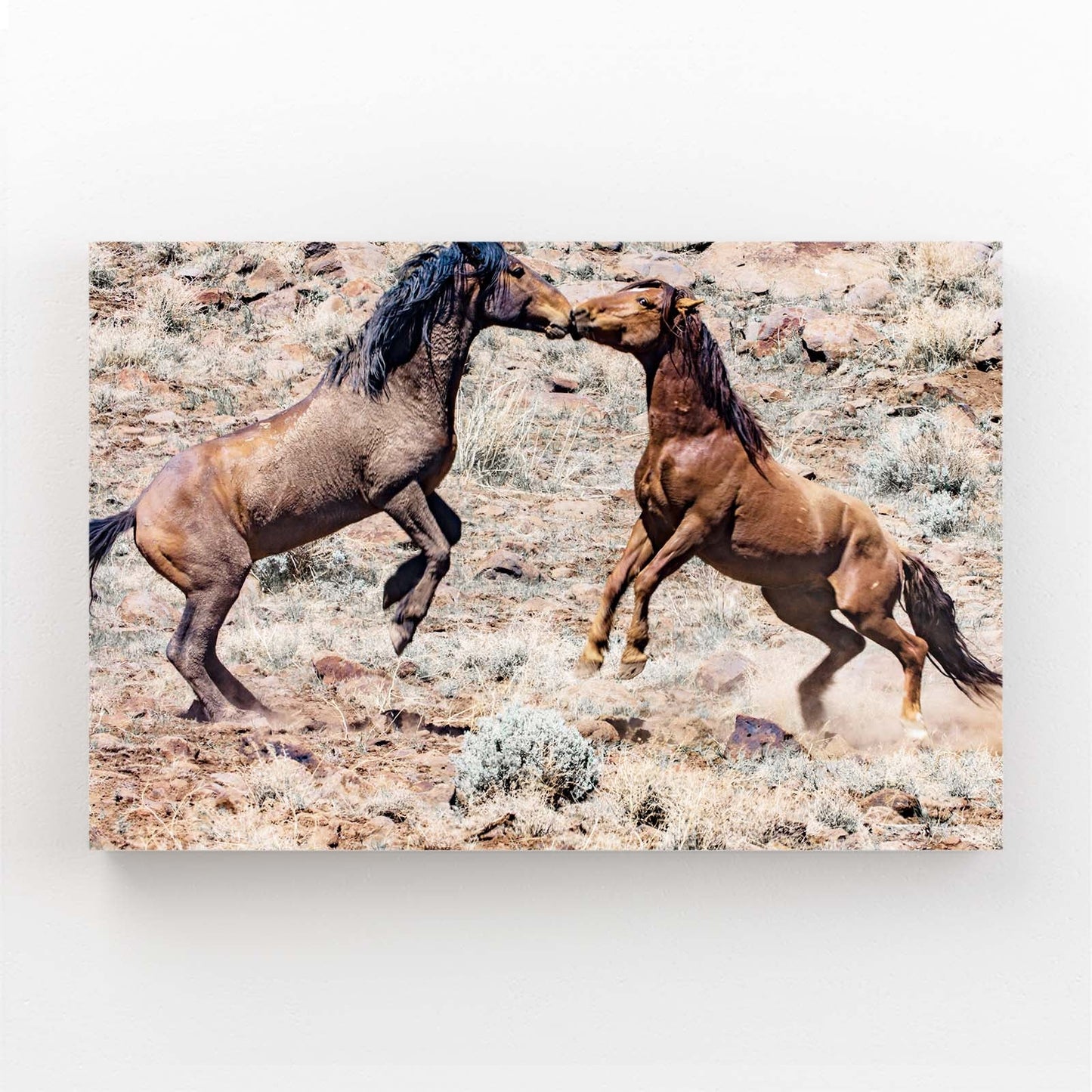 Kissing Horse Prints – angled canvas view on white background